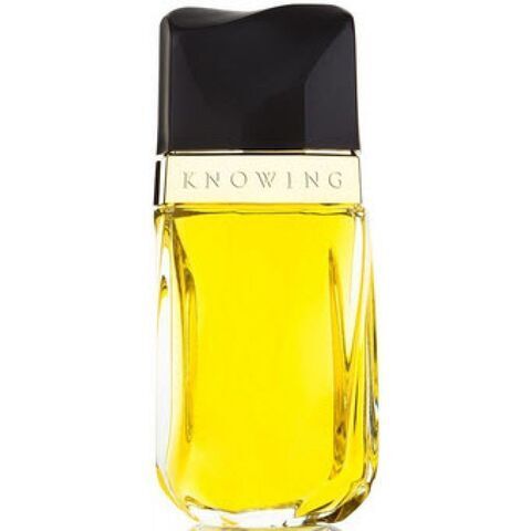 عطر نوينج استي لودر