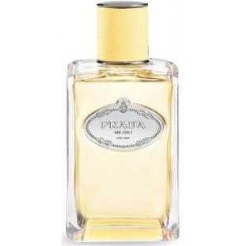 عطر إنفيوجِن دي ميموزا برادا