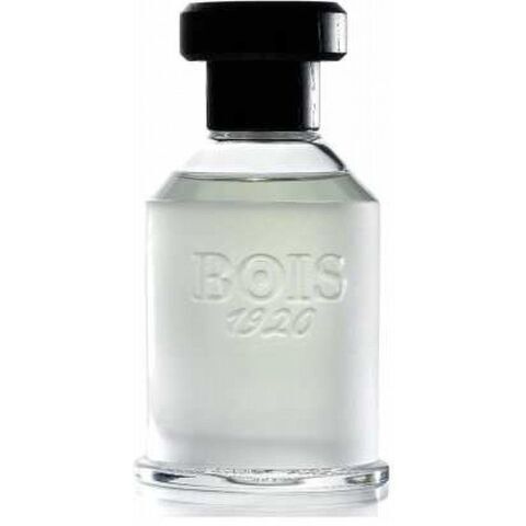 عطر أنكورا آمور  بويس 1920