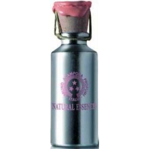 عطر مسك  برونو أكَمبورا