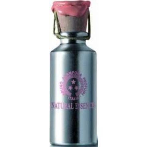 عطر سِبلاسيا برونو أكَمبورا