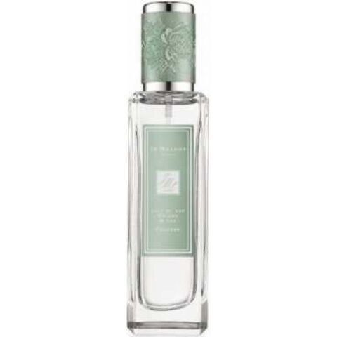 عطر ليلي اوف ذا فالي آند آيفي  جو مالون