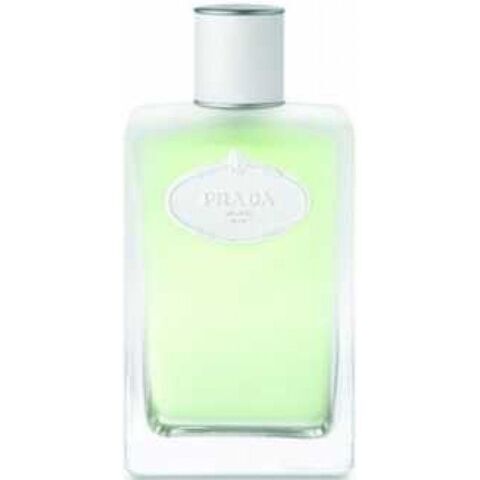 عطر إنفوجين دي أيريس يو دي تواليت برادا