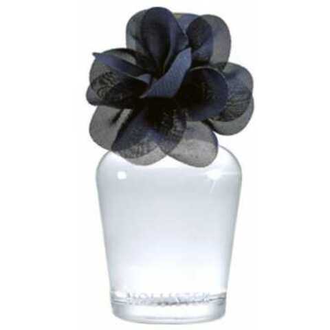 عطر هوليستر أديسون