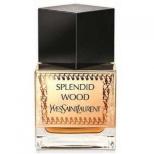 عطر سبلندد وود إيف سان لوران