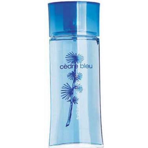 عطر إيف روشيه فريشر فيجيتال سيدر بلو