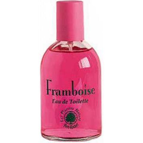 عطر إيف روشيه فرامبويز 1999