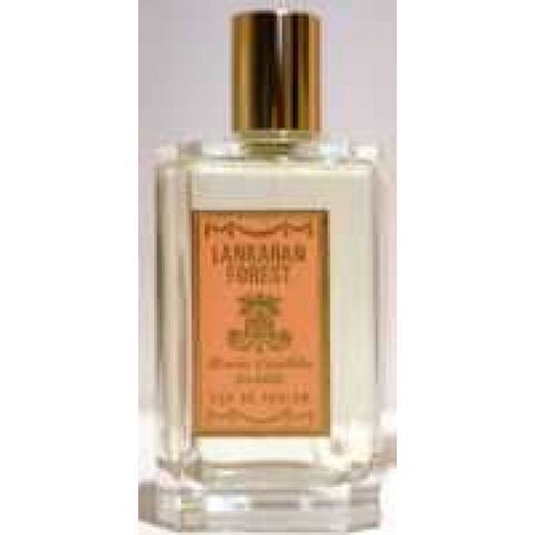 عطر لانكران فورست ماريا كانديدا حنتل