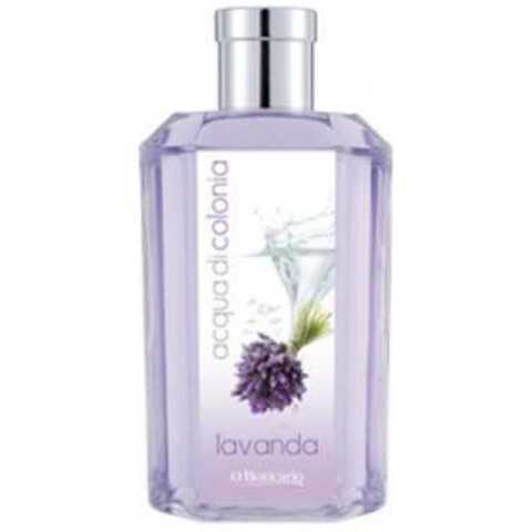 عطر اوبوتيكاريو أكوا دي كولونيا لافندا