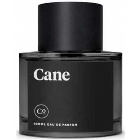 عطر كومودتي كان