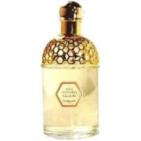 عطر أكوا أليغوريا ليلى بيلا جيرلان