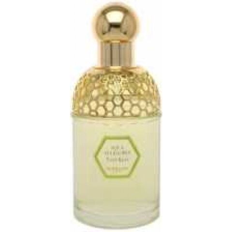 عطر أكوا أليغوريا توتي كيوي جيرلان