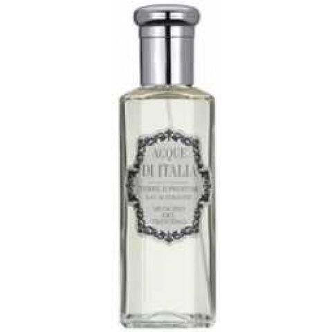 عطر أكوا دي ايطاليا موشيو ديل ترينتينو