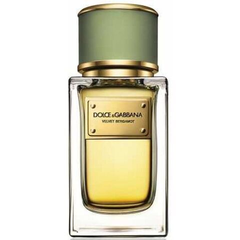 عطر فلفيت برغموت دولشي أند غابانا