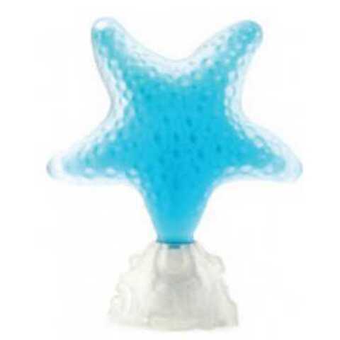 عطر سي جيولز ستار