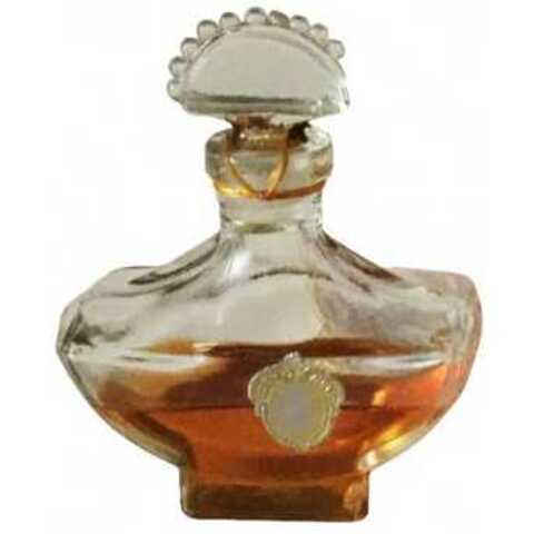 عطر نوفايا زاريا جمشاج