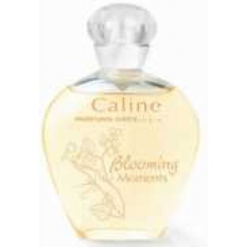 عطر كالين بلومينج مومنتس جريس