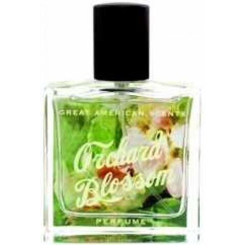 أورشارد بلوسوم جريت أميركان سنت