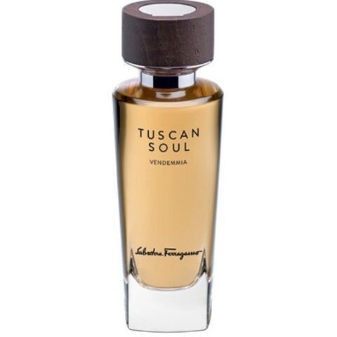 عطر فنديميا سلفاتور فيراغامو