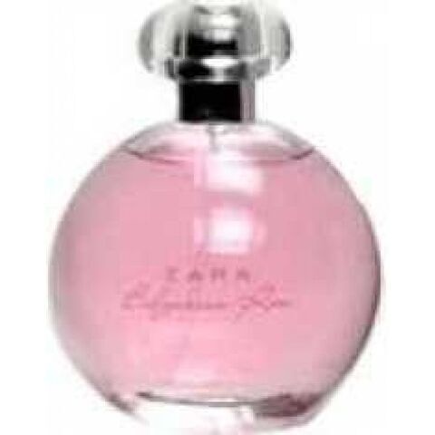 عطر زارا بلغاري روز