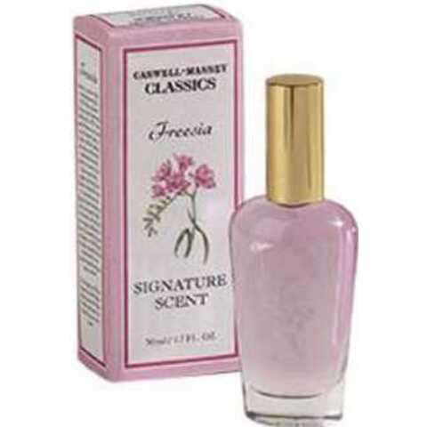 عطر كازويل ماسي فريزيا سجنتشر سينت