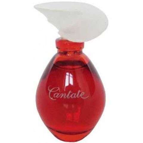 عطر إيف روشيه كانتيت