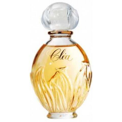 عطر إيف روشيه كليا