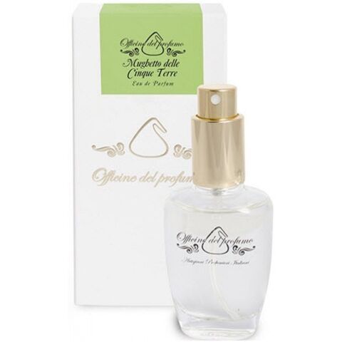 عطر موخيتو ديلا سينك تيري أفيسين ديل برفومو