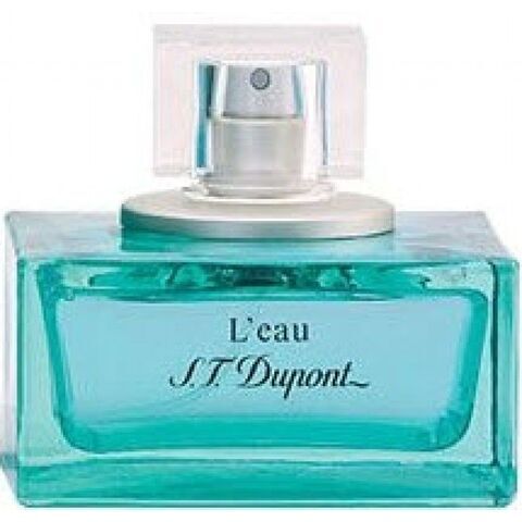 عطر إس تي ديبونت لإيو بور هوم