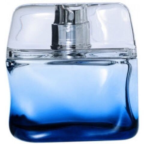 عطر بلو إنتنس نيكول فارهي