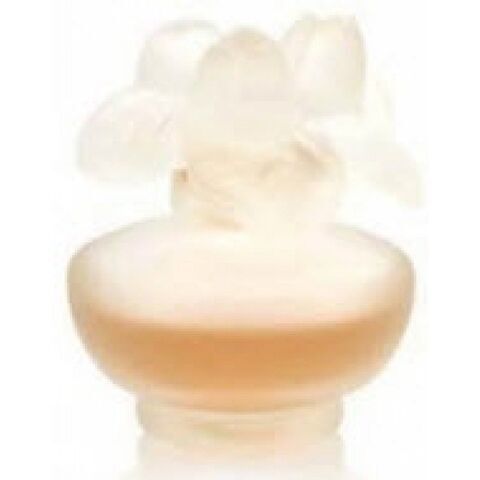 عطر روز نوغ بيوبا