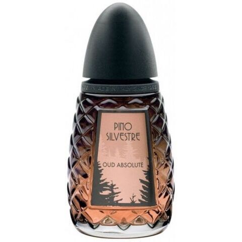 عطر أبسوليوت بينو سيلفستر