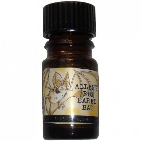 Allen's Big Eared Bat