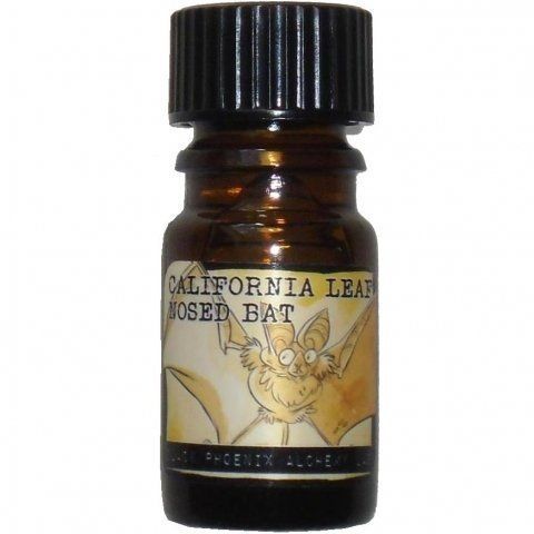 California Leaf-Nosed Bat